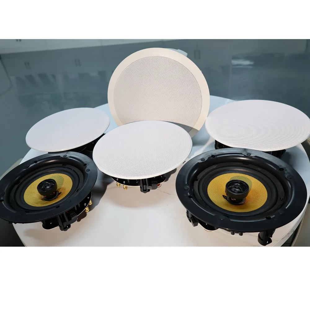 Home Theater Speaker - TLF WiFi Bluetooth Speaker Ceiling Speaker