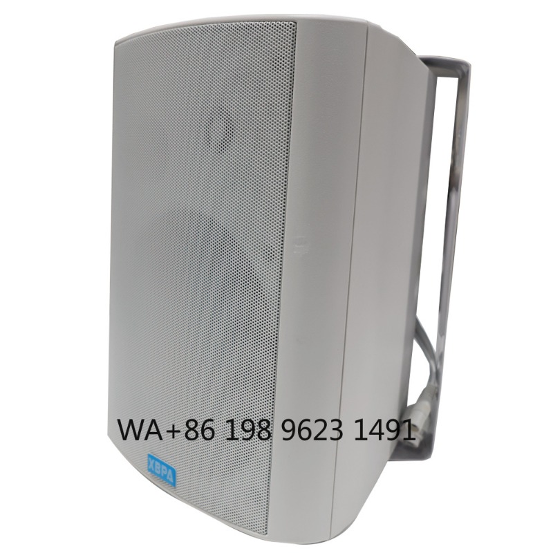 5.1 Wireless WiFi Wall Ceiling - Home Theater Speaker recension och pris