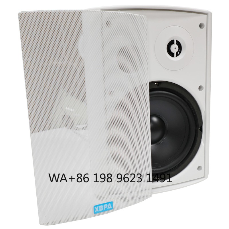 5.1 Wireless WiFi Wall Ceiling - Home Theater Speaker recension och pris
