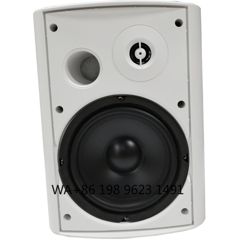 5.1 Wireless WiFi Wall Ceiling - Home Theater Speaker recension och pris