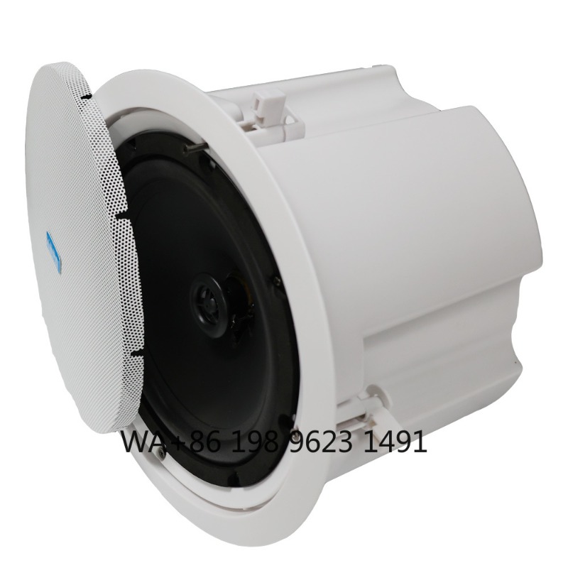 5.1 Wireless WiFi Wall Ceiling - Home Theater Speaker recension och pris