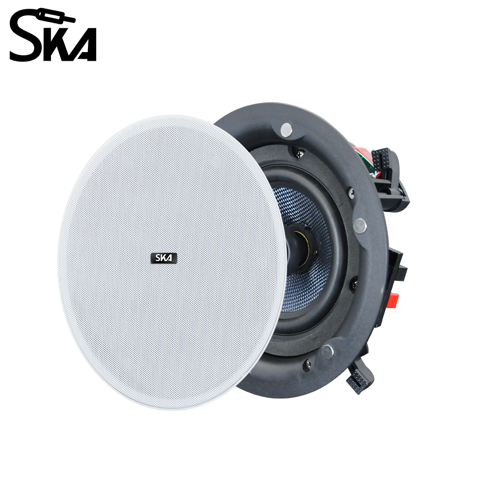 Ceiling Bluetooth Speaker 5.25 - Home Cinema Bluetooth 5.1 recension och pris