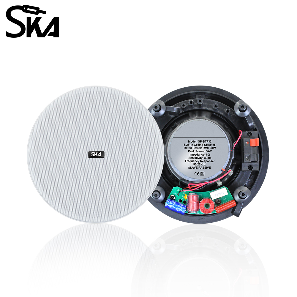 Ceiling Bluetooth Speaker 5.25 - Home Cinema Bluetooth 5.1 recension och pris